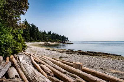 Garden / Landscaping Photo of 3581 Beach Avenue, Roberts Creek, BC