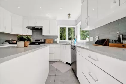 Pantry Photo of 1953 158a Street, Surrey, BC