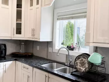 Pantry Photo of 342 173a Street, Surrey, BC