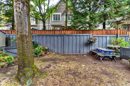 Outdoor Kitchen Photo of 47 18883 65 Street, Surrey, BC