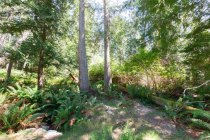Community Amenities Photo (Clubhouse) of 370 Maple Drive, Mayne Island, BC