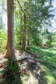 Fitness Center Photo Near 370 Maple Drive, Mayne Island, BC