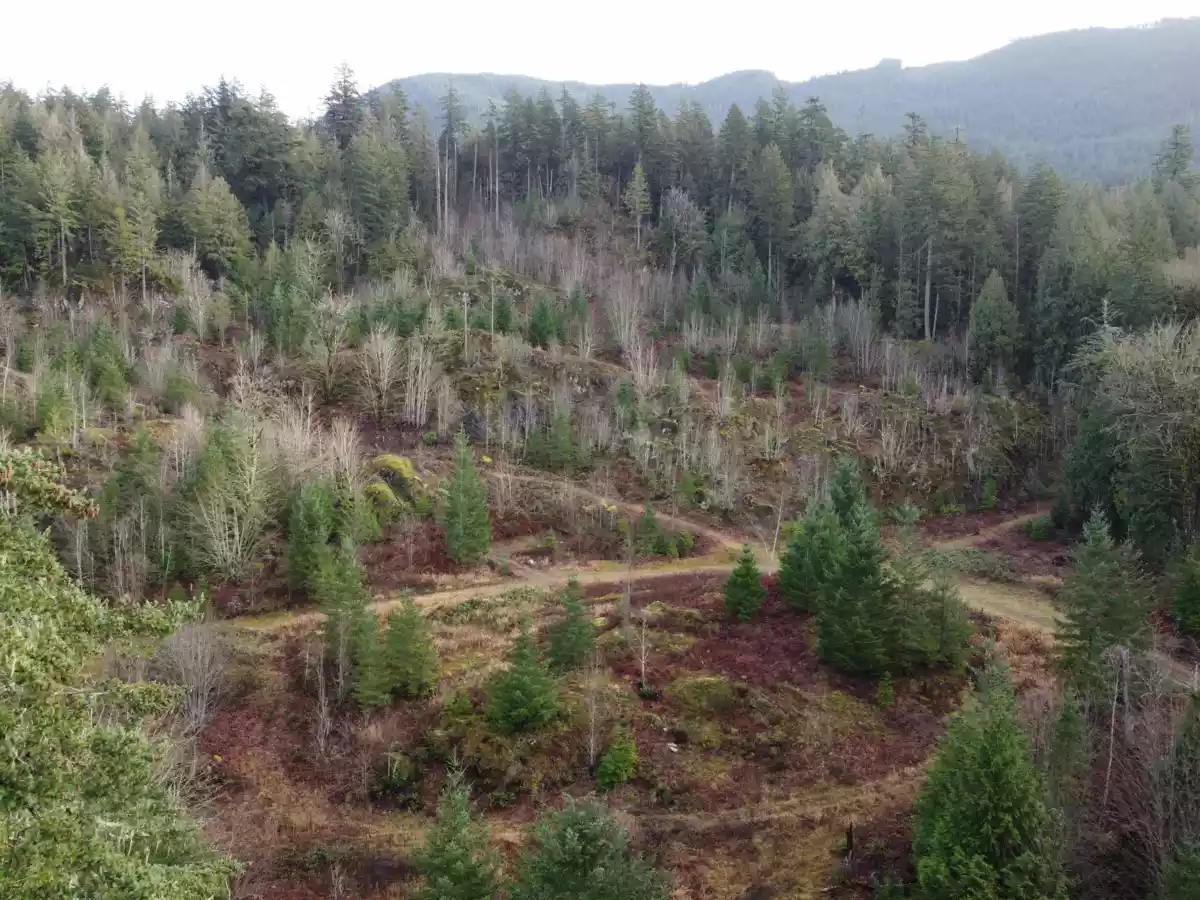 Entry Foyer Photo of SUB 12 SEC 8 Harrison River, Harrison Hot Springs, BC