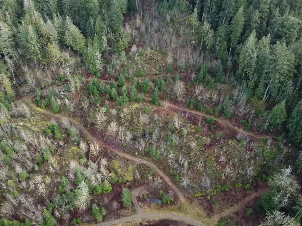 Laundry Room Photo of SUB 12 SEC 8 Harrison River, Harrison Hot Springs, BC