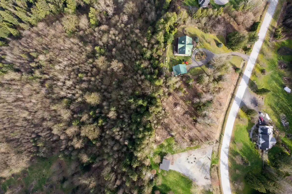 Dining Area Photo of 10230 Rolley Crescent, Maple Ridge, BC