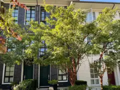 105 548 Foster Avenue, Coquitlam, BC