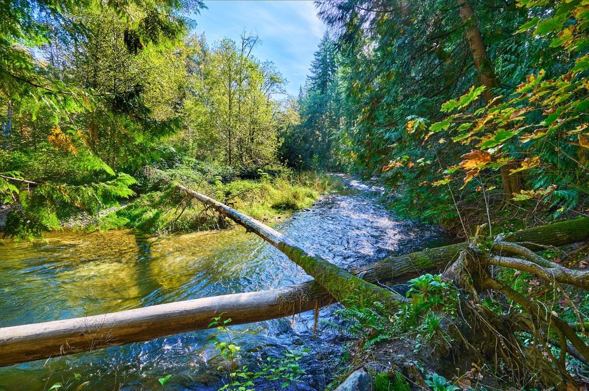 Backyard Photo of 12680 239 Street, Maple Ridge, BC