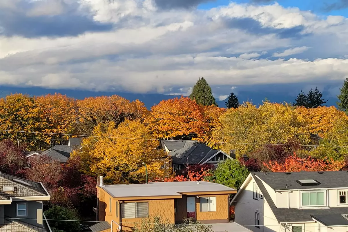 Garden / Landscaping Photo of 3953 W 21st Avenue, Vancouver, BC