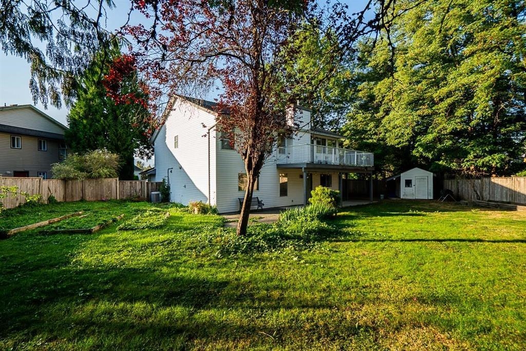 Backyard Photo of 12466 231b Street, Maple Ridge, BC