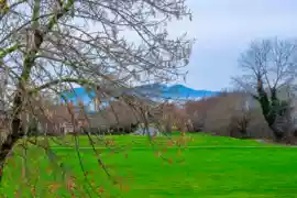 21 6000 Barnard Drive, Richmond, BC