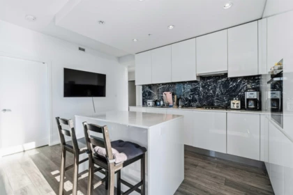 Kitchen Photo of 4805 4650 Brentwood Boulevard, Burnaby, BC