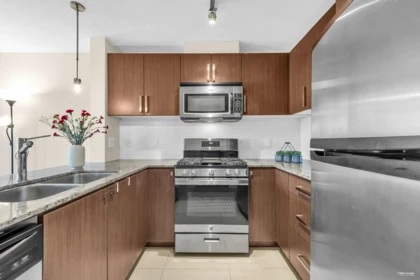 207 9868 Cameron Street, Burnaby, BC