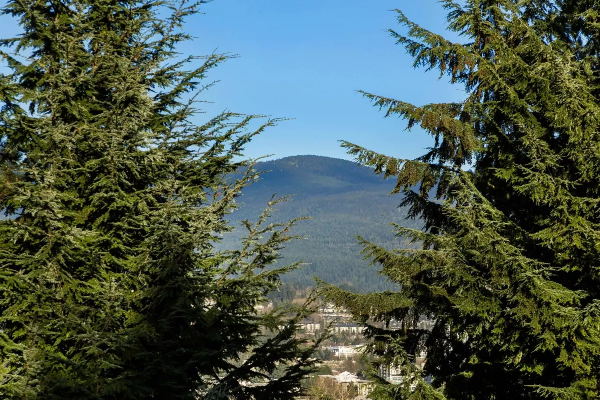Outdoor Kitchen Photo of 3214 Mariner Way, Coquitlam, BC