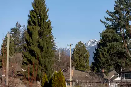 Front Yard Photo of 306 625 E 3rd Street, North Vancouver, BC