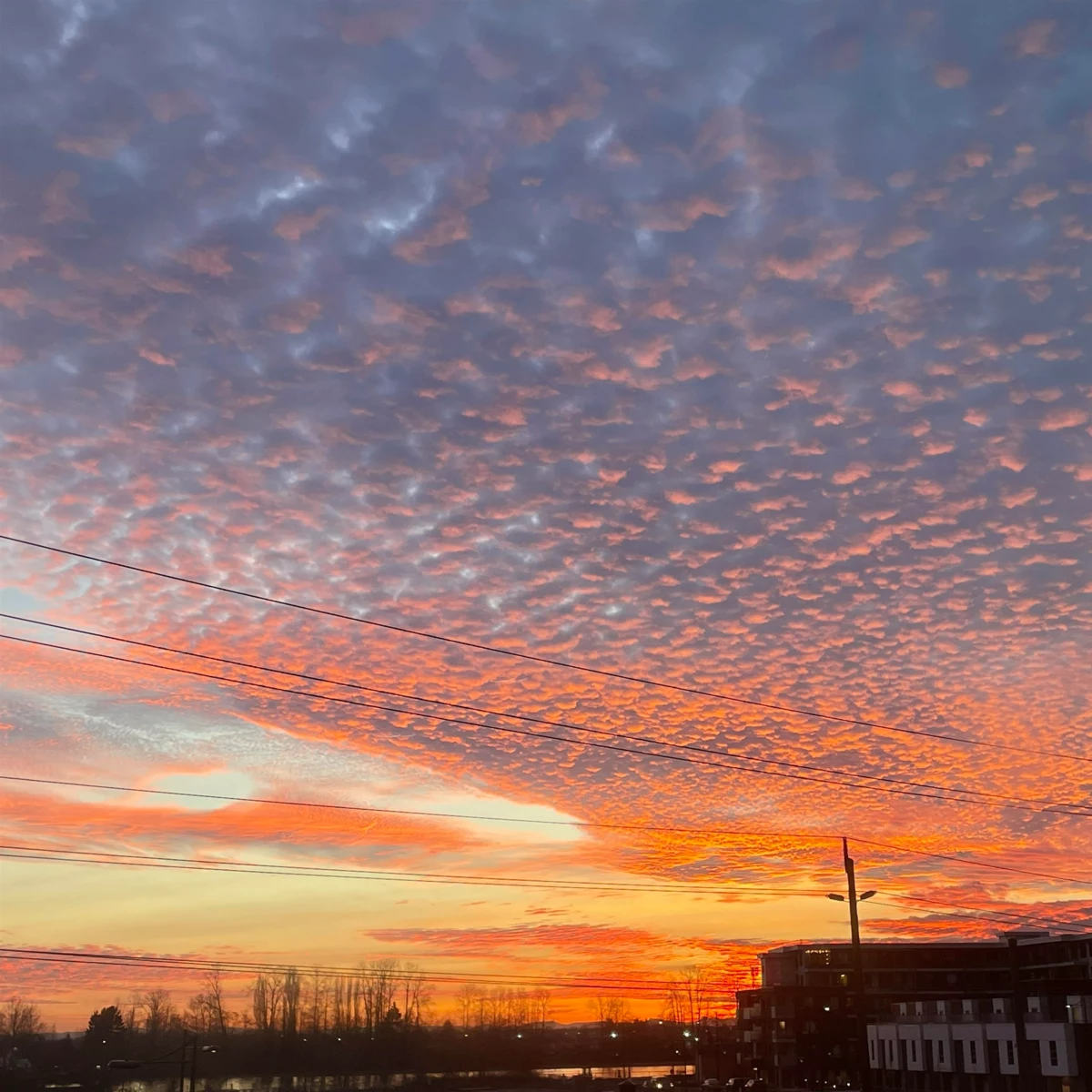 Garage Interior Photo of 305 8580 River District Crossing, Vancouver, BC