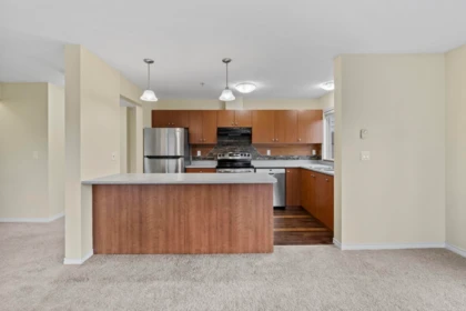 Pantry Photo of 202 32063 Mt Waddington Avenue, Abbotsford, BC