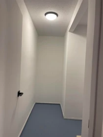 Walk-In Closet Photo of 210 1050 Jervis Street, Vancouver, BC