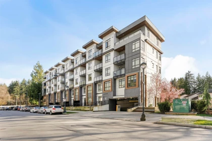 Loft / Bonus Room Photo of 430 13968 Laurel Drive, Surrey, BC