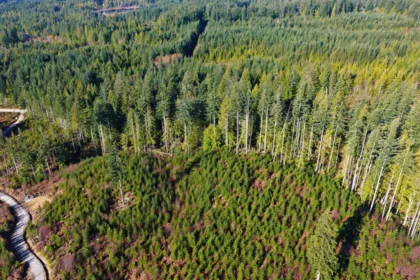 LOT 1 Lockyer Road, Roberts Creek, BC, Roberts Creek — Land for sale