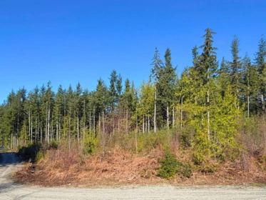 Kitchen Island Photo of LOT 1 Lockyer Road, Roberts Creek, BC