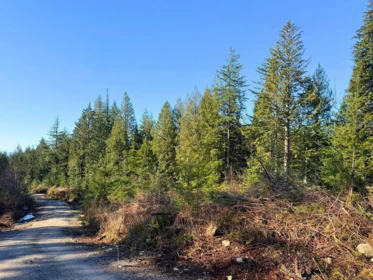 Pantry Photo of LOT 1 Lockyer Road, Roberts Creek, BC
