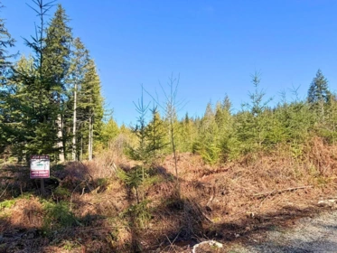 Powder Room Photo of LOT 1 Lockyer Road, Roberts Creek, BC