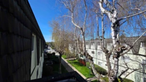 356 8131 Ryan Road, Richmond, BC