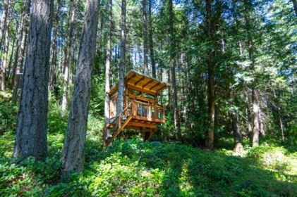 Entry Foyer Photo of 15140 Porlier Pass Road, Galiano Island, BC