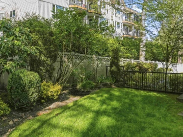 Outdoor Deck Photo of 4 22488 116 Avenue, Maple Ridge, BC