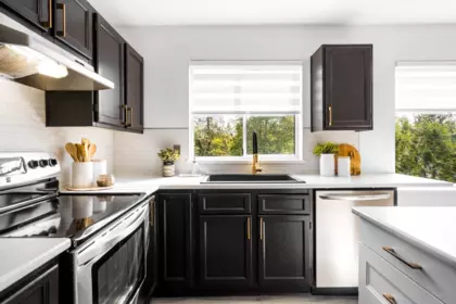 Kitchen Island Photo of 36 11588 232 Street, Maple Ridge, BC