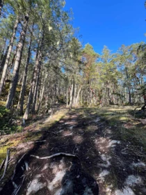 13607 Lee Road, Garden Bay, BC, Garden Bay — Land for sale
