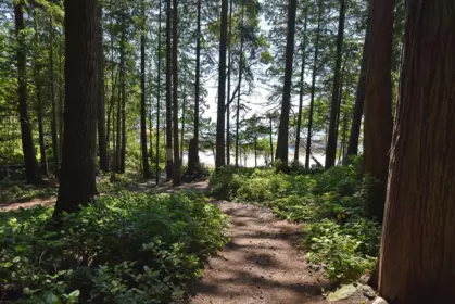 Street View Photo of 12561 Greaves Road, Madeira Park, BC