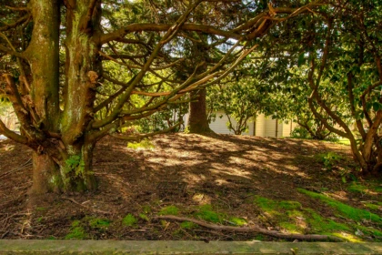 Basement Recreation Room Photo of 32 6625 138th Street, Surrey, BC