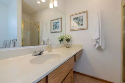 Basement Recreation Room Photo of 455 Alouette Drive, Coquitlam, BC