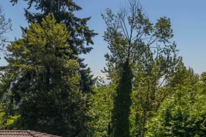 Outdoor Kitchen Photo of 455 Alouette Drive, Coquitlam, BC