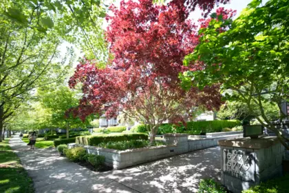 225 5777 Birney Avenue, Vancouver, BC, Vancouver — Apartment/Condo for sale