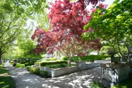 225 5777 Birney Avenue, Vancouver, BC