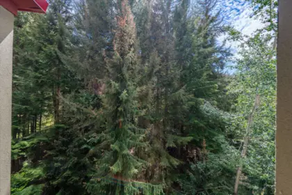 Primary Bedroom Photo of 871/872 4090 Whistler Way, Whistler, BC