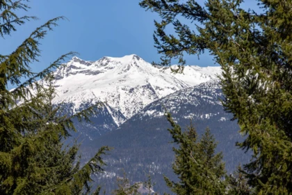 Powder Room Photo of 8476 Matterhorn Drive, Whistler, BC