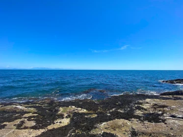 Loft / Bonus Room Photo of Lot 16 Dl 71 And 77 Bodega Beach Drive, Galiano Island, BC
