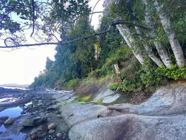 Pantry Photo of Lot 16 Dl 71 And 77 Bodega Beach Drive, Galiano Island, BC