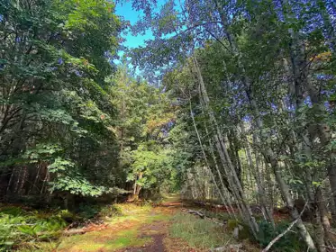 Exterior Rear Photo of Lot 16 Dl 71 And 77 Bodega Beach Drive, Galiano Island, BC