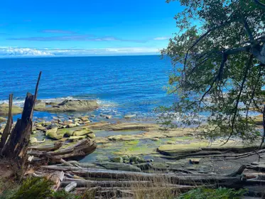 Lot 16 Dl 71 And 77 Bodega Beach Drive, Galiano Island, BC, Galiano Island —  bed land for sale