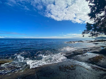 Bedroom 2 Photo of Lot 16 Dl 71 And 77 Bodega Beach Drive, Galiano Island, BC