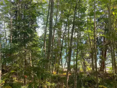 Kitchen Photo of Lot 17 Dl 71 Bodega Beach Drive, Galiano Island, BC