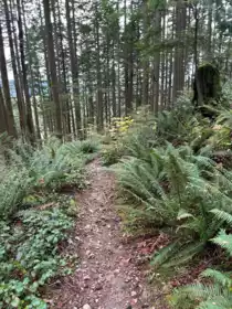 Pantry Photo of Lot 2 Indian River Drive, North Vancouver, BC