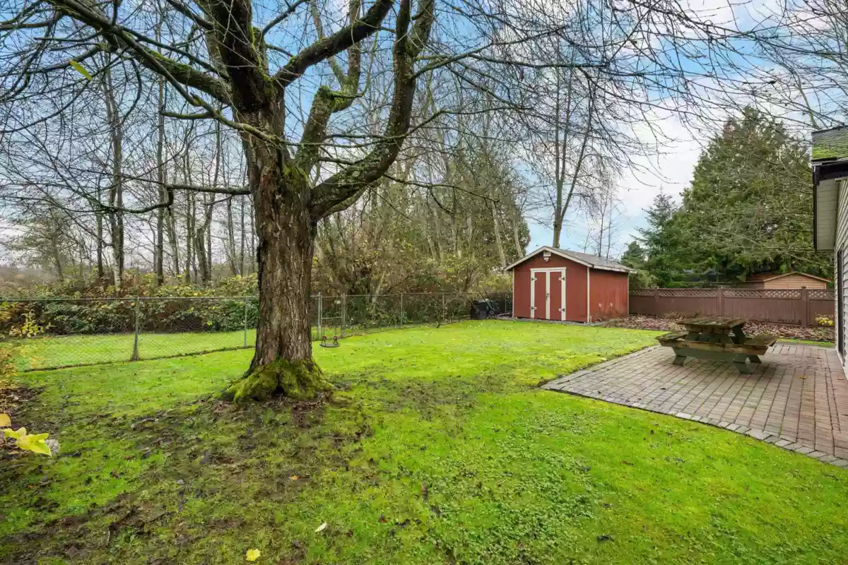 Backyard Photo of 5259 197a Street, Langley, BC