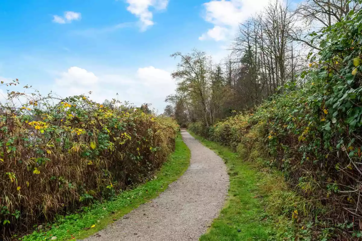 Fitness Center Photo Near 5259 197a Street, Langley, BC