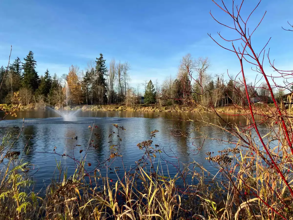 Neighborhood Park Photo Near 5259 197a Street, Langley, BC