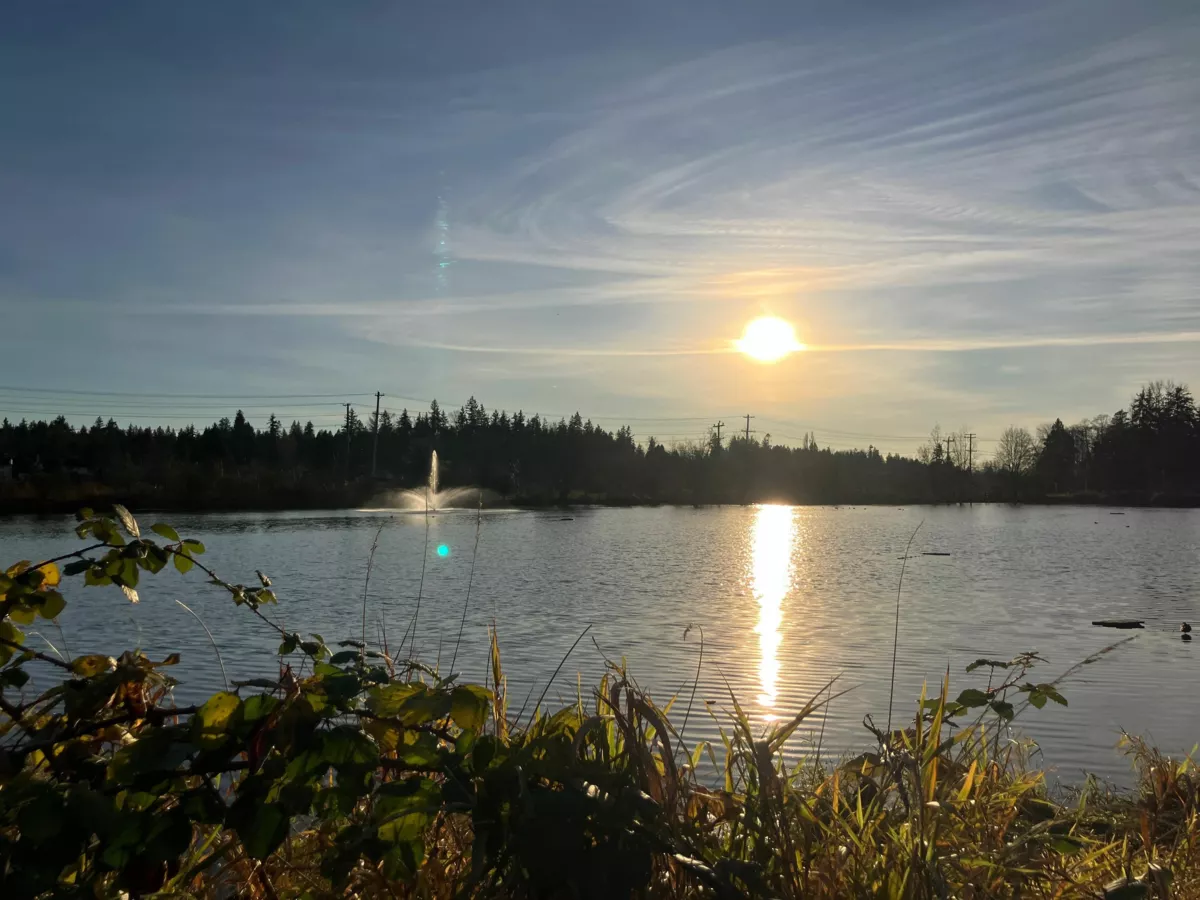 Street View Photo of 5259 197a Street, Langley, BC